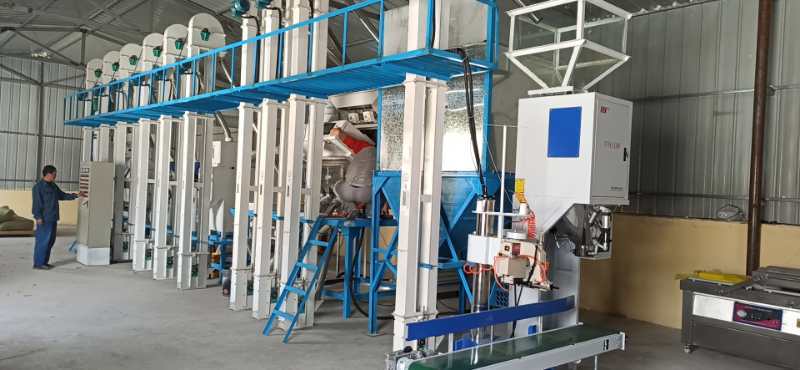 遼寧朝陽建平NZJ15噸小米成套加工設備安裝調(diào)試完畢